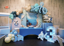 Load image into Gallery viewer, Mega Private Birthday
